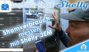Home Assistant Shelly 3EM